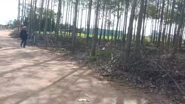 Đất rẫy 7ha tại Xã Ia Hrú, Huyện Chư Pưh - Giá 8.2 tỷ - Pháp lý đầy đủ!