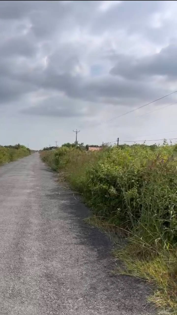 Đất đập thiên nhiên 10.000m² tại Ấp Hồ Tàu, Vĩnh Long - Giá chỉ 1 tỷ!