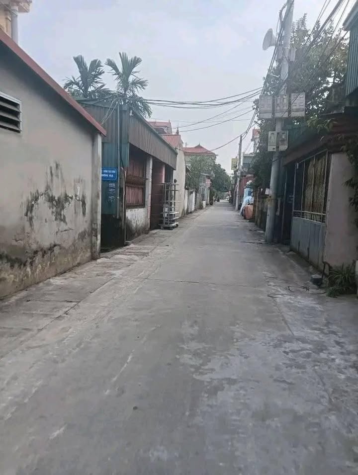 Đất Tự Nhiên Đường Thông Ô Tô Thường Tín 169m² giá 3x triệu - Đầu tư sinh lời!