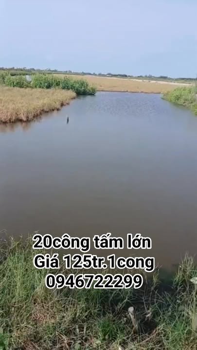 Đất nền 20 công tại Xã Đông Hưng B, Huyện An Minh, Kiên Giang - Giá 2.5 tỷ, thương lượng nhẹ!