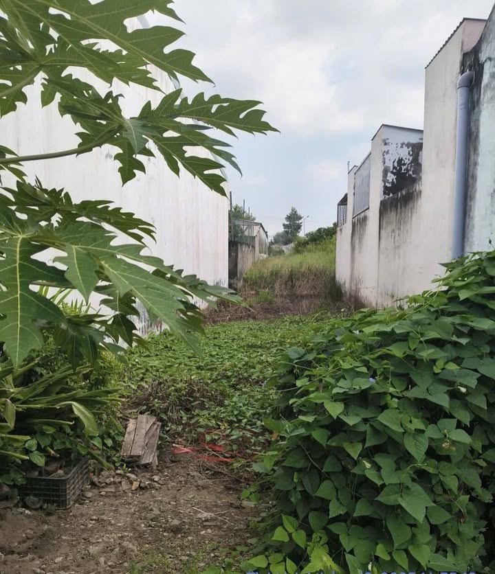 Đất nền hẻm ô tô 462 Lê Hồng Phong, Sóc Trăng - Giá chốt hấp dẫn trước Tết!