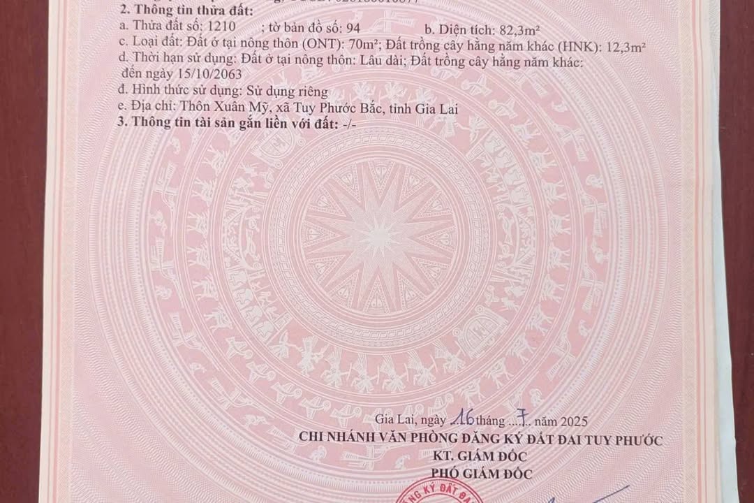 Đất nền xã Phước Hiệp, huyện Tuy Phước, 82,3m² giá chỉ 300 triệu - Cơ hội đầu tư tuyệt vời!