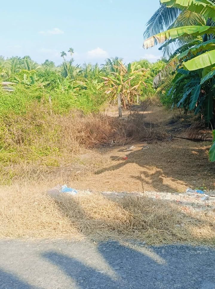 Đất thổ cư 139m² tại xã Trung Ngãi, Vũng Liêm - Giá chỉ 350 triệu