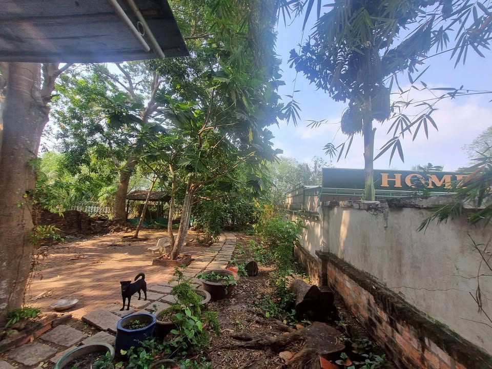 Biệt Thự Vườn Giáp Sông Long Phước, TP Thủ Đức - 600m² Sổ Riêng, Giá 12 Tỷ