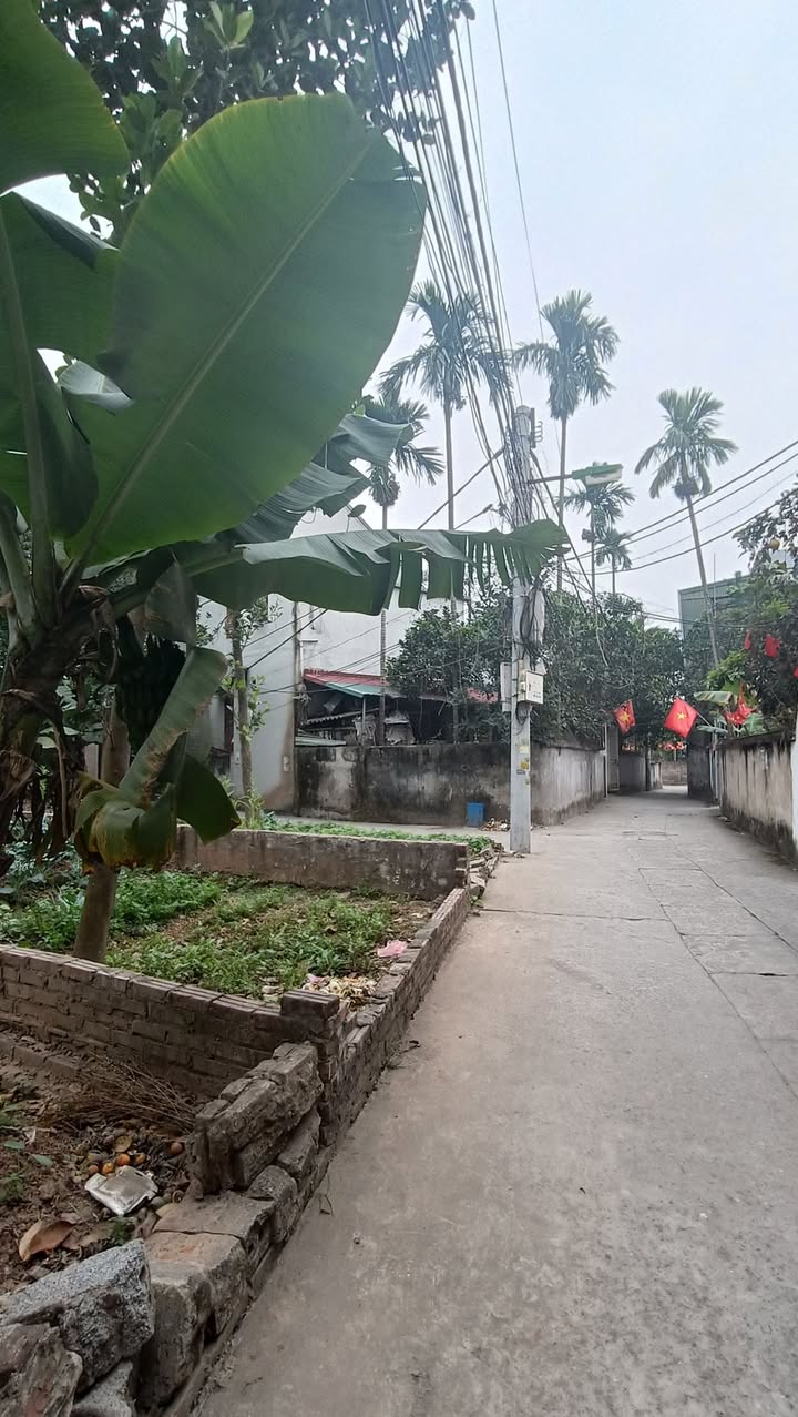 Đất nền bán tại Thôn 3 Vạn Phúc, Thanh Trì 110m² - Đầu tư sinh lời cao!