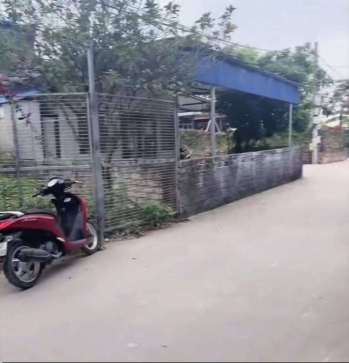 Đất nền Quảng Thanh 1, 140m² mặt tiền 7m - Sổ đỏ sẵn sàng giao dịch