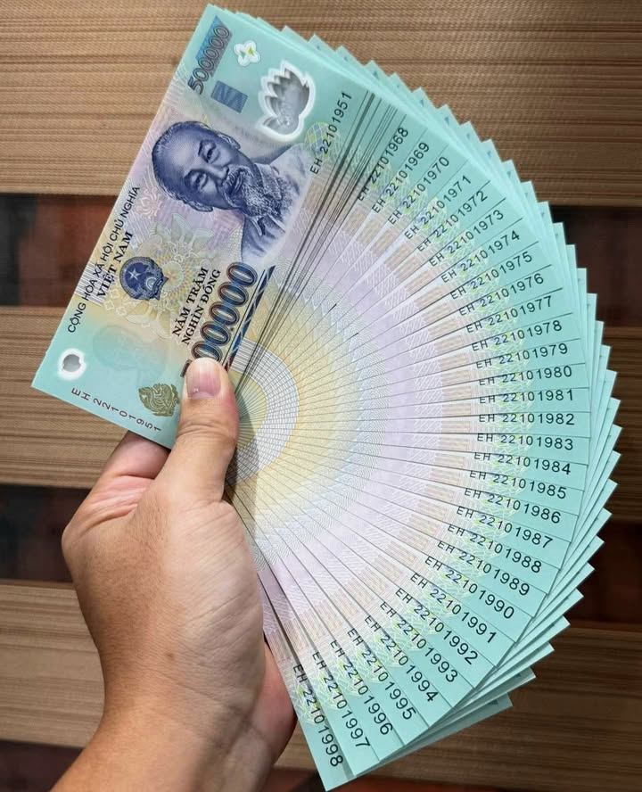 Đất nền xã Cẩm Hà, huyện Cẩm Xuyên 300m² giá 800 triệu - Đầu tư sinh lời ngay!