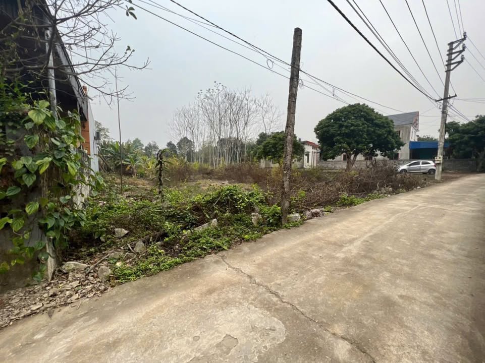 Đất thổ cư Hóa Thượng 255m² giá 1.2 tỷ - Đầu tư sinh lời tốt!