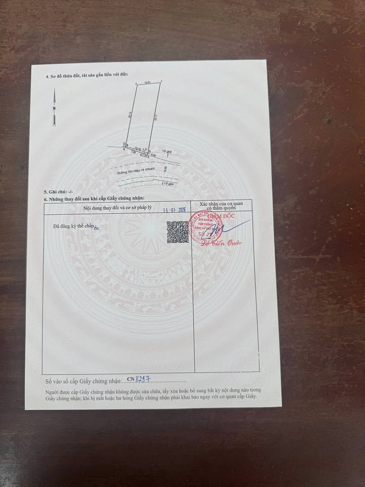 Đất mặt tiền Tân Thới Hiệp 330m² giá 10 tỷ - Đầu tư sinh lời ngay!