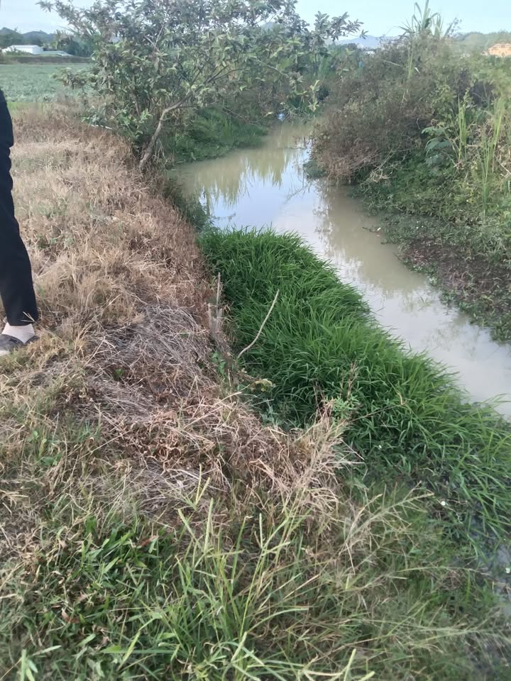 Đất nền 20.000m² Huyện Bảo Lâm chỉ 450 triệu - Tiềm năng đầu tư lớn!