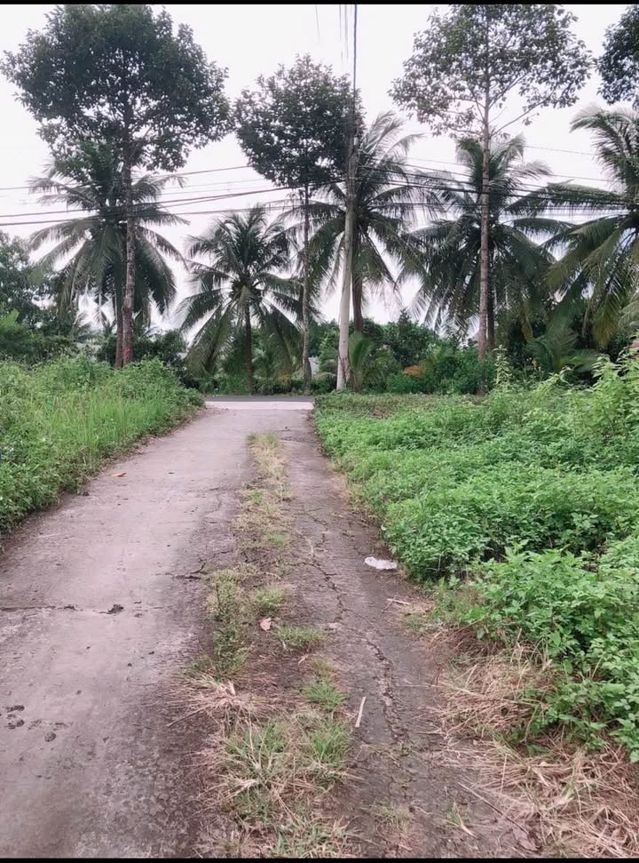 Đất thổ cư chính chủ tại Phường Mỹ Phong, Đồng Tháp - Giá chỉ 700 triệu!