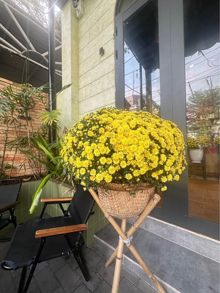 Đất nền đẹp tại Khu Phố Long Hưng, Phường Trung An, 80m² - Giá chỉ 399 triệu