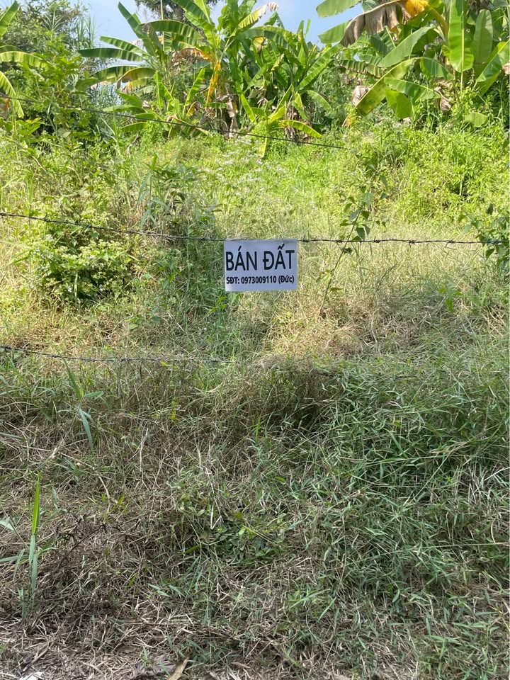 Đất nền Tân Mỹ Chánh, Tiền Giang 217m² chỉ 700 triệu - Đầu tư sinh lời!