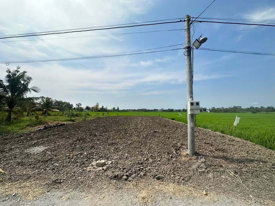 Đất nền 245m² tại Ấp Thuận Trị, Bình Tân, Gò Công Tây - Giá 380 triệu, hướng Đông Bắc