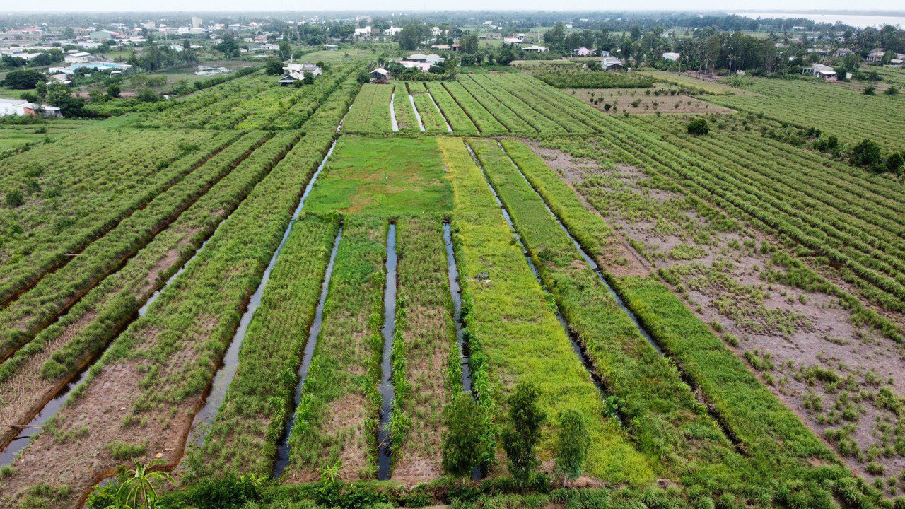 Đất Farm tại Xã Phú Thạnh, Huyện Tân Phú Đông, 4500m² - Giá tốt, vị trí đắc địa!