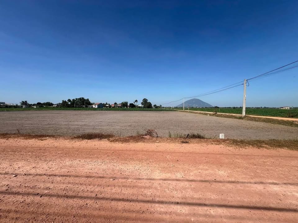 Đất thổ cư Xã Phan, Huyện Dương Minh Châu, 185m² giá chỉ 230 triệu - Cơ hội đầu tư tuyệt vời!