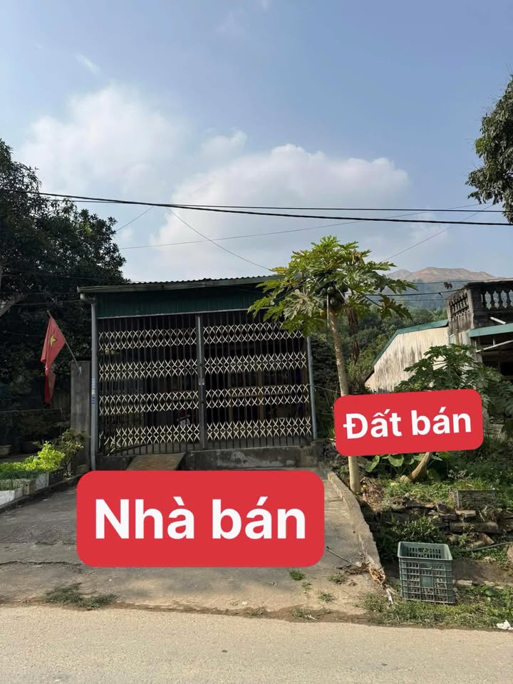 Bán đất nền và nhà cấp 4 tại đường to 156, xã Bản Vược, Lào Cai - Giá chỉ 1.23 tỷ!