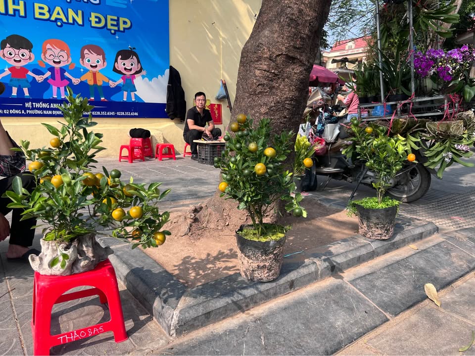 Đất nền Mỹ Trung, Nam Định 75m² - Hướng Đông Bắc, Sẵn Sổ