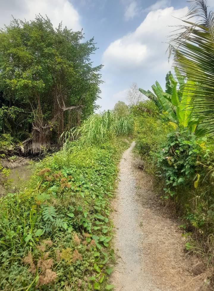 Đất nông nghiệp mặt tiền đường Đá, xã Hòa Long, 14.302m² - Giá tốt đầu tư!