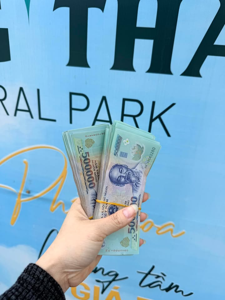 Đất nền Tỉnh Lộ 295, Từ Sơn 114m² giá 1 tỷ - Khu vực dân cư sôi động!