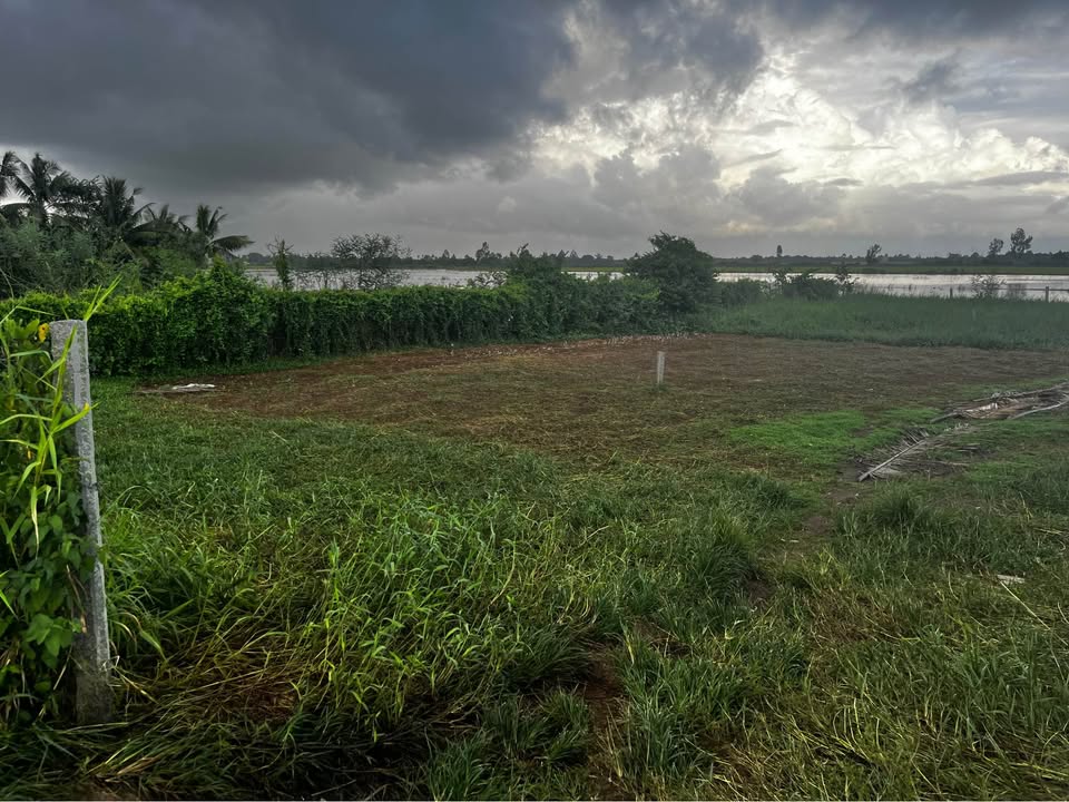 Đất nền thổ cư Châu Thành Kiên Giang 900m² giá 1.29 tỷ - Cơ hội đầu tư lý tưởng!