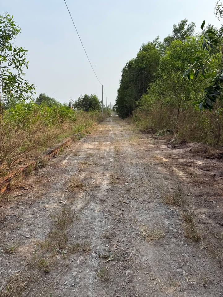 Đất nền đường Hùng Vương, Nhơn Trạch 1000m² giá 2.5 tỷ - Sổ hồng chính chủ!