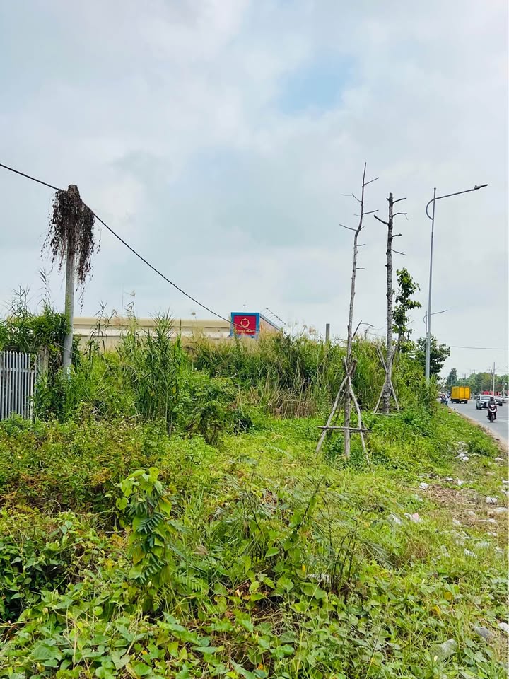 Đất mặt tiền đường Lạc Hồng, Rạch Giá 11.000m² giá 6 tỷ - Cơ hội đầu tư tốt!