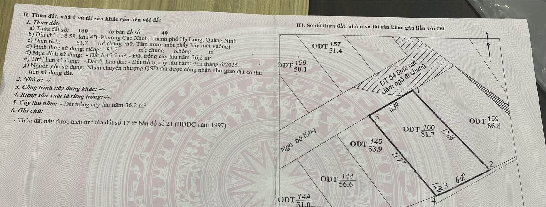 Đất nền chính chủ tại Ngõ 28 Đồi Chè, Cao Xanh 81.7m² giá 1.85 tỷ - Cơ hội đầu tư hấp dẫn!