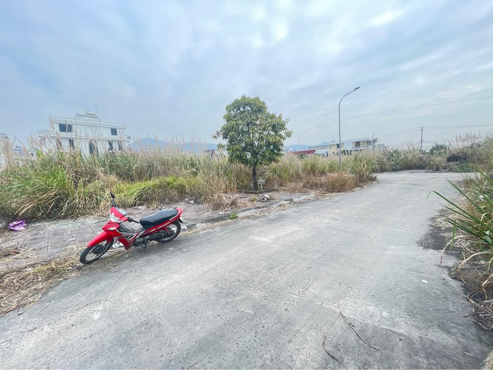 Đất nền Cẩm Phả 80m² giá chỉ 3x triệu/m² - Đầu tư sinh lời ngay!