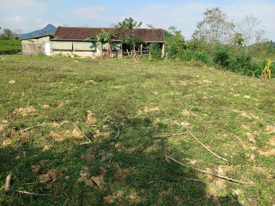 Lô đất nhà vườn Xóm 6, Thanh Hương 2400m² giá chỉ 1 tỷ - Đầu tư sinh lời!