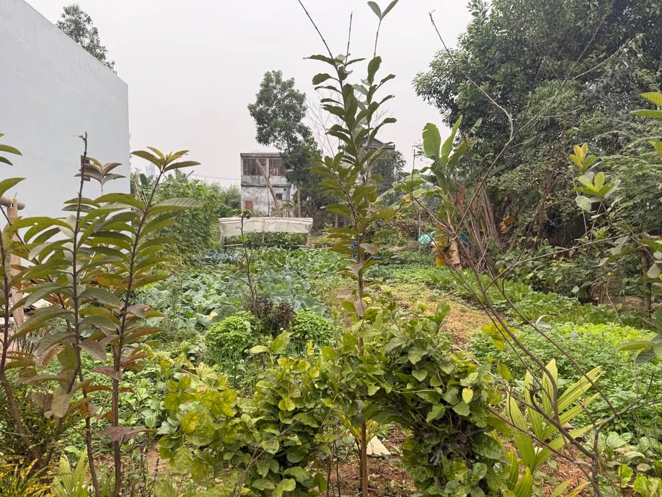 Đất tái định cư Tràng Đà 150m² giá 1.6 tỷ - Cơ hội hiếm có!