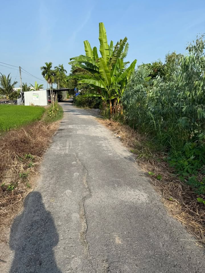 Đất nền xã Trường Long Tây - 8,127.2m² giá 2.031 tỷ - Cơ hội đầu tư tuyệt vời!