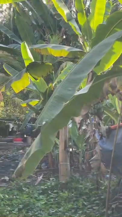 Đất nền thổ cư Cần Thơ 126,7m² giá 580 triệu - Vị trí đẹp, cơ hội đầu tư hấp dẫn!