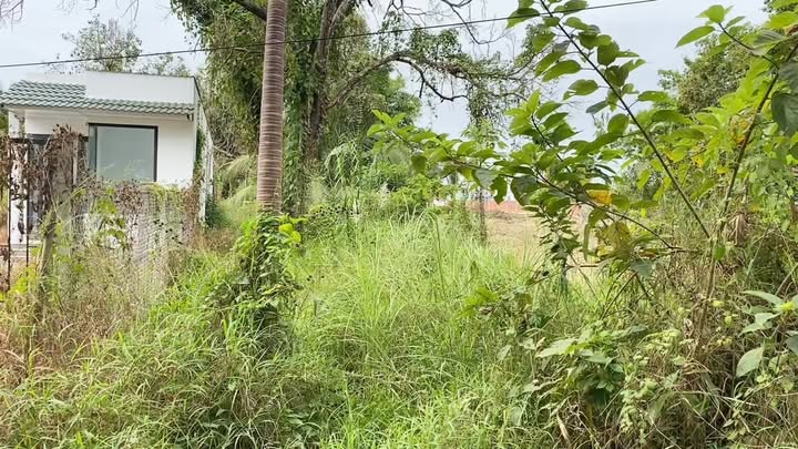 Đất nền đẹp tại Bông Vang, An Bình, 492m² - Tiềm năng nghỉ dưỡng lý tưởng!