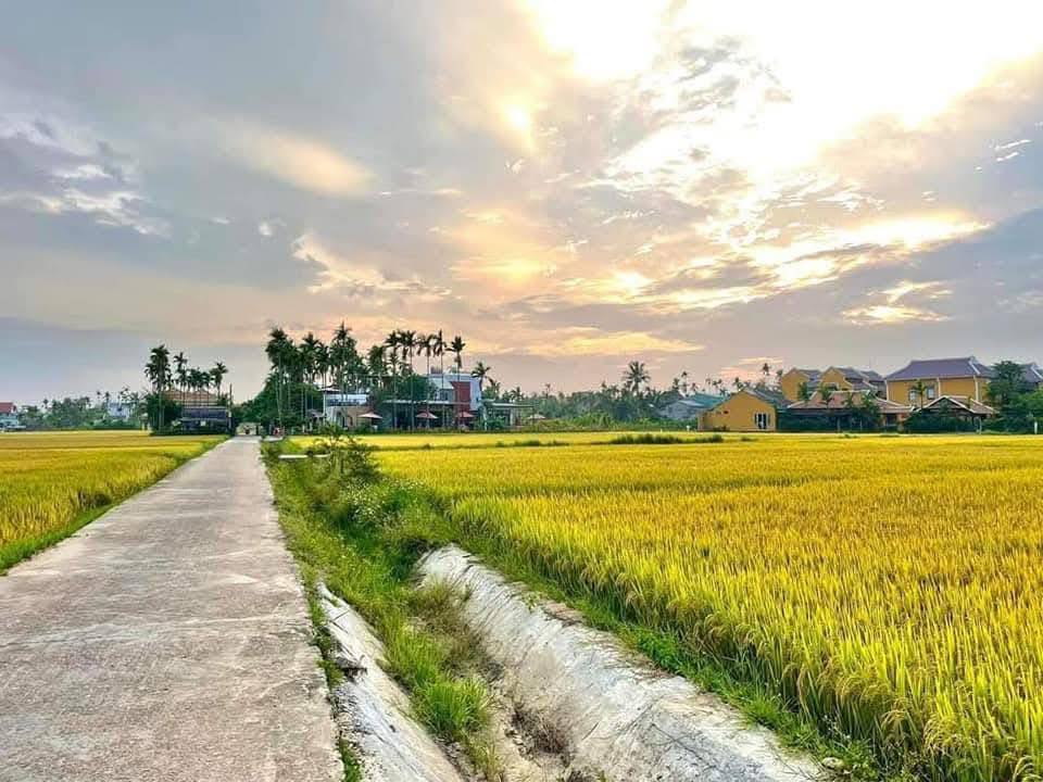 Đất Nền Cẩm Thanh - View Đồng Lúa, 140m², 4 Tỷ, Hội An