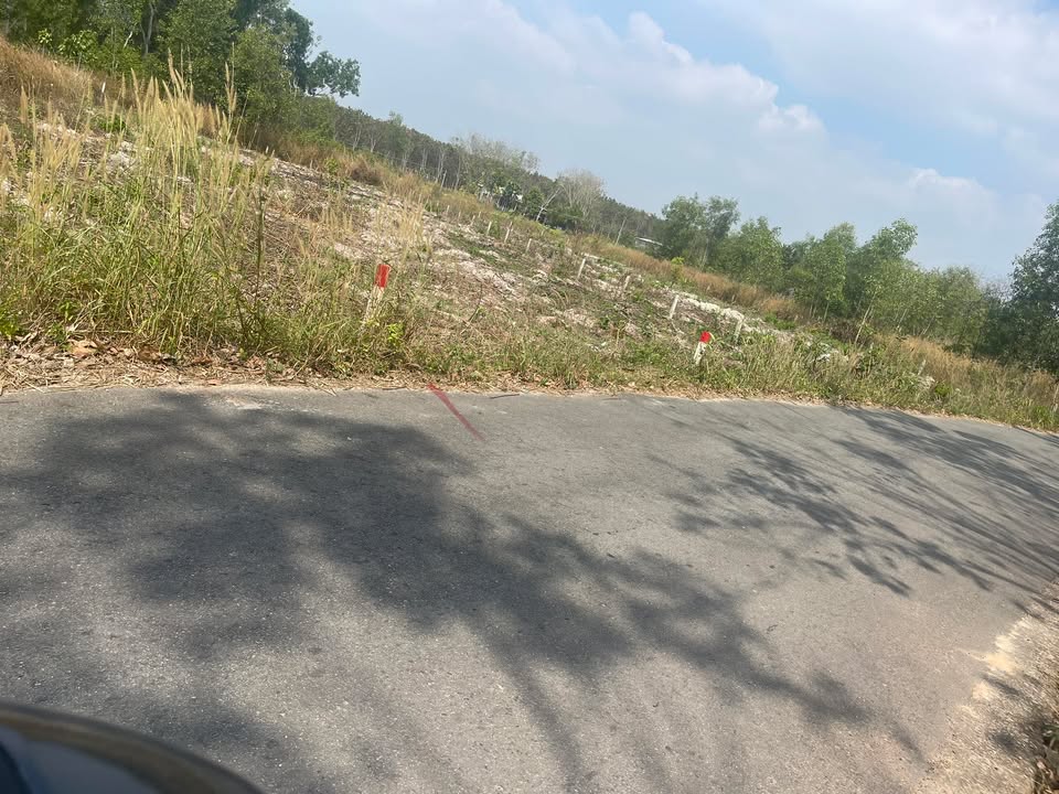 Đất nền thổ cư 1320m² tại xã Long Hoà - Giá chỉ 2 tỷ, cơ hội đầu tư tuyệt vời!