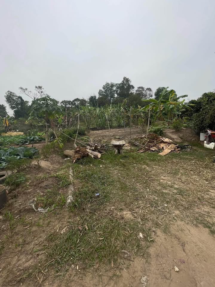 Bán Đất Vườn 652m² Mặt Tiền 20m - Hồ Câu Đồng Quang, TP Thái Nguyên