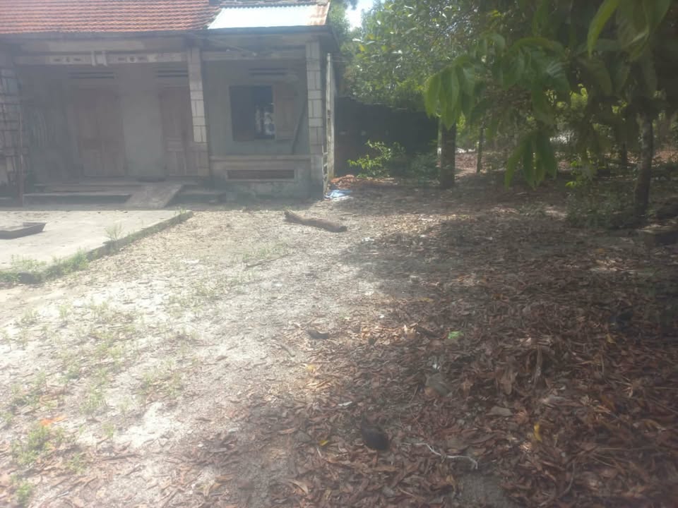 Đất thổ cư 300m² tại Phường An Phú, Tam Kỳ - Giá chỉ 700 triệu!