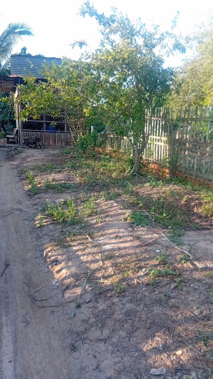 Đất nền và vườn 1466m² tại ấp Hoà Mỹ, Đồng Tháp - Pháp lý rõ ràng, giá chỉ 1.6 tỷ!