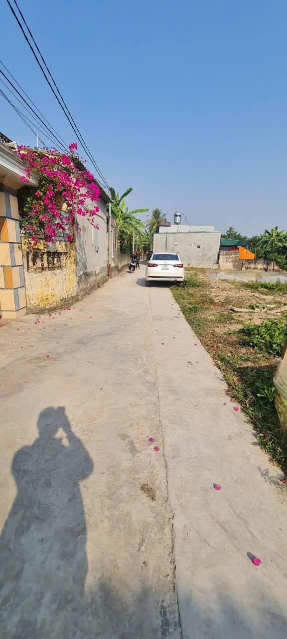 Đất nền An Thanh Tứ Kỳ 150m² giá chỉ 500 triệu - Cơ hội đầu tư tuyệt vời!