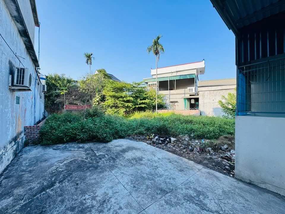 Đất thổ cư 135m² tại xã Cẩm Việt, huyện Thanh Hà, giá 700 triệu - Vị trí đẹp thuận tiện!