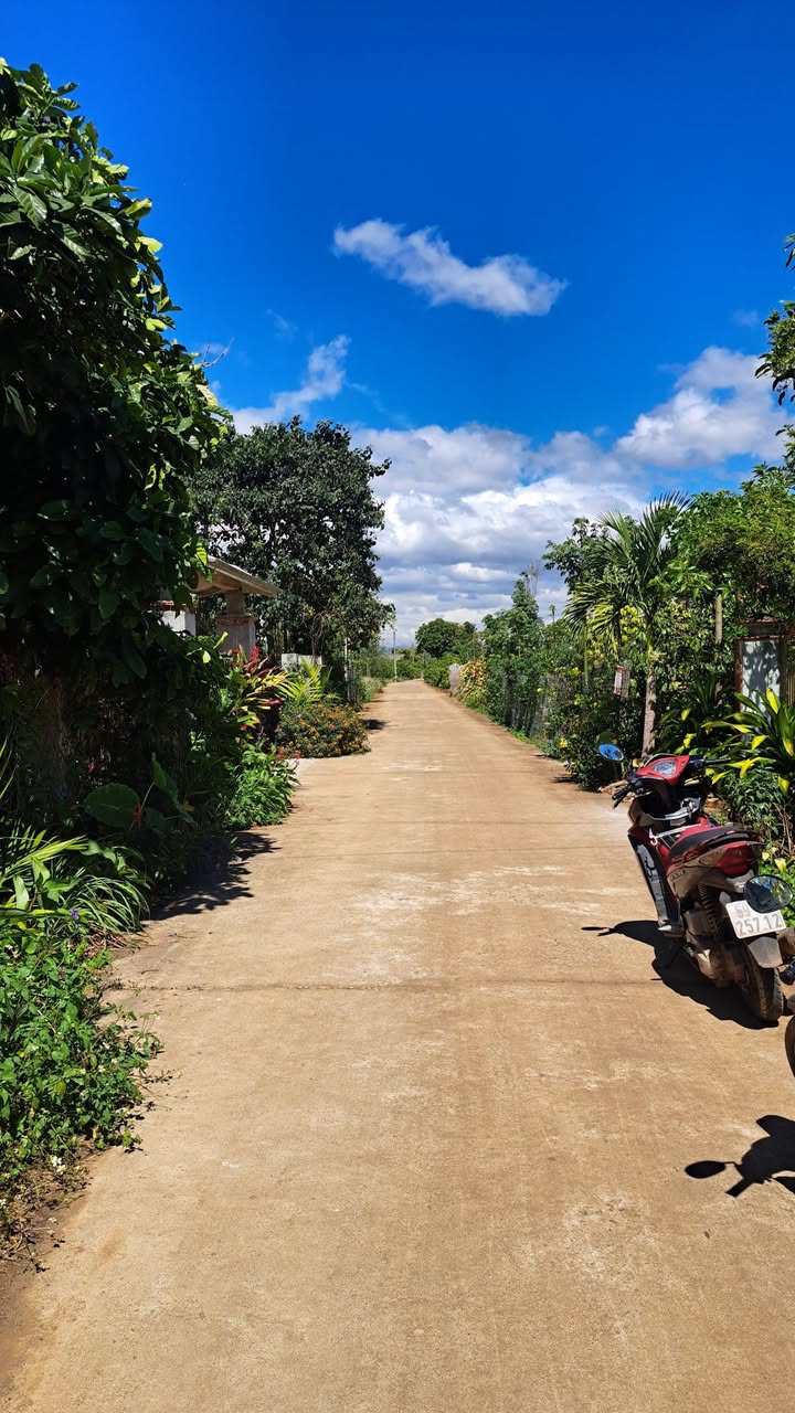 Đất Farm 360m² tại Xã Tân Thành, Đức Trọng giá 1.3 tỷ - Cơ hội đầu tư tuyệt vời!