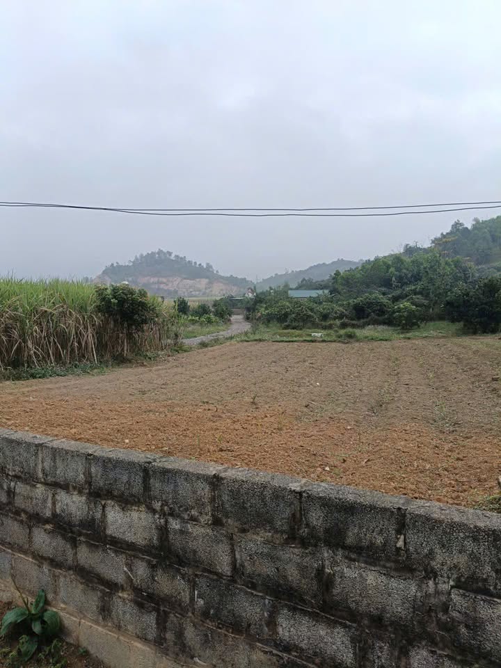 Đất nền Tân Lạc Hòa Bình 266m² giá chỉ 200 triệu - Cơ hội đầu tư hấp dẫn!