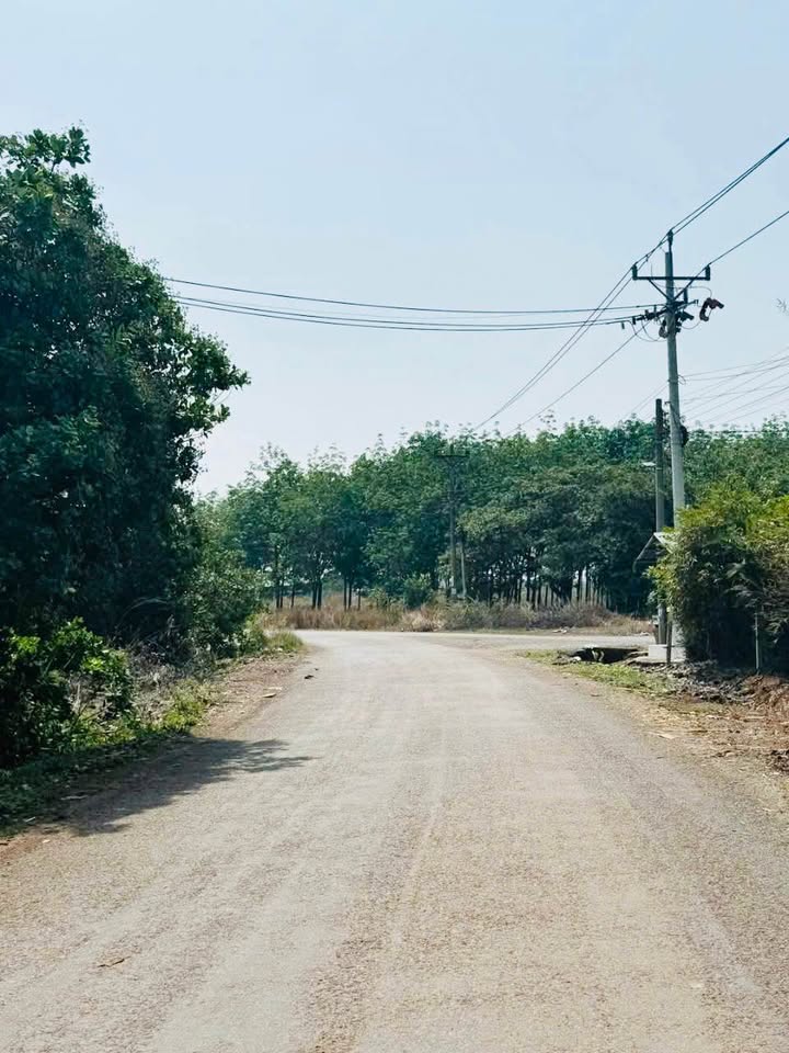 Đất nền Tiến Hưng Đồng Xoài 195m² giá 600 triệu - Đầu tư sinh lời ngay!