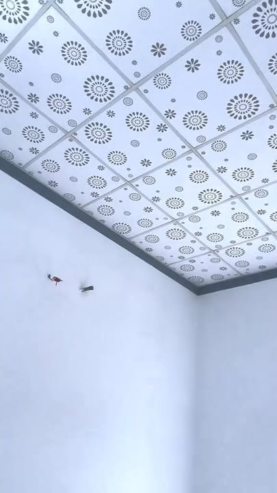 Nhà cấp 4 tại Phường Long Hoa, Tây Ninh 141m² giá 1.3 tỷ - Kinh doanh thuận lợi!