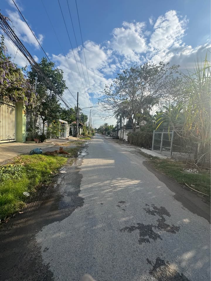 Đất thổ cư Hiệp Thạnh, Gò Dầu, 208m² giá 5.24 tỷ - Đầu tư sinh lời ngay!