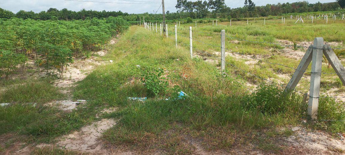 Đất nền phường Bình Minh Tây Ninh 1000m² giá 180 triệu - Cơ hội đầu tư tuyệt vời!