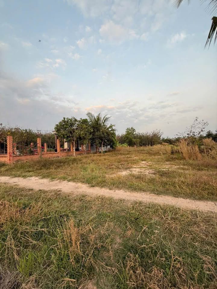 Đất nền ấp Trường Hảo, xã Hảo Đước, 250m² giá chỉ 100 triệu - Cơ hội đầu tư hấp dẫn!