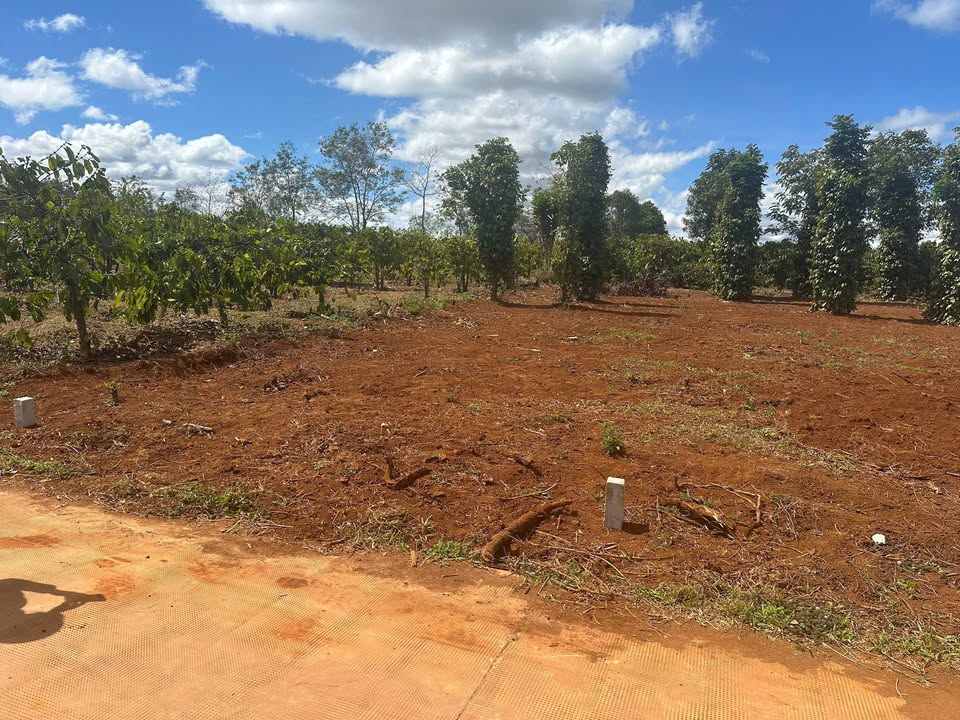 Đất nền dự án Breng 2, Gia Lai - 125m² giá chỉ từ 200 triệu - Cơ hội đầu tư hấp dẫn!