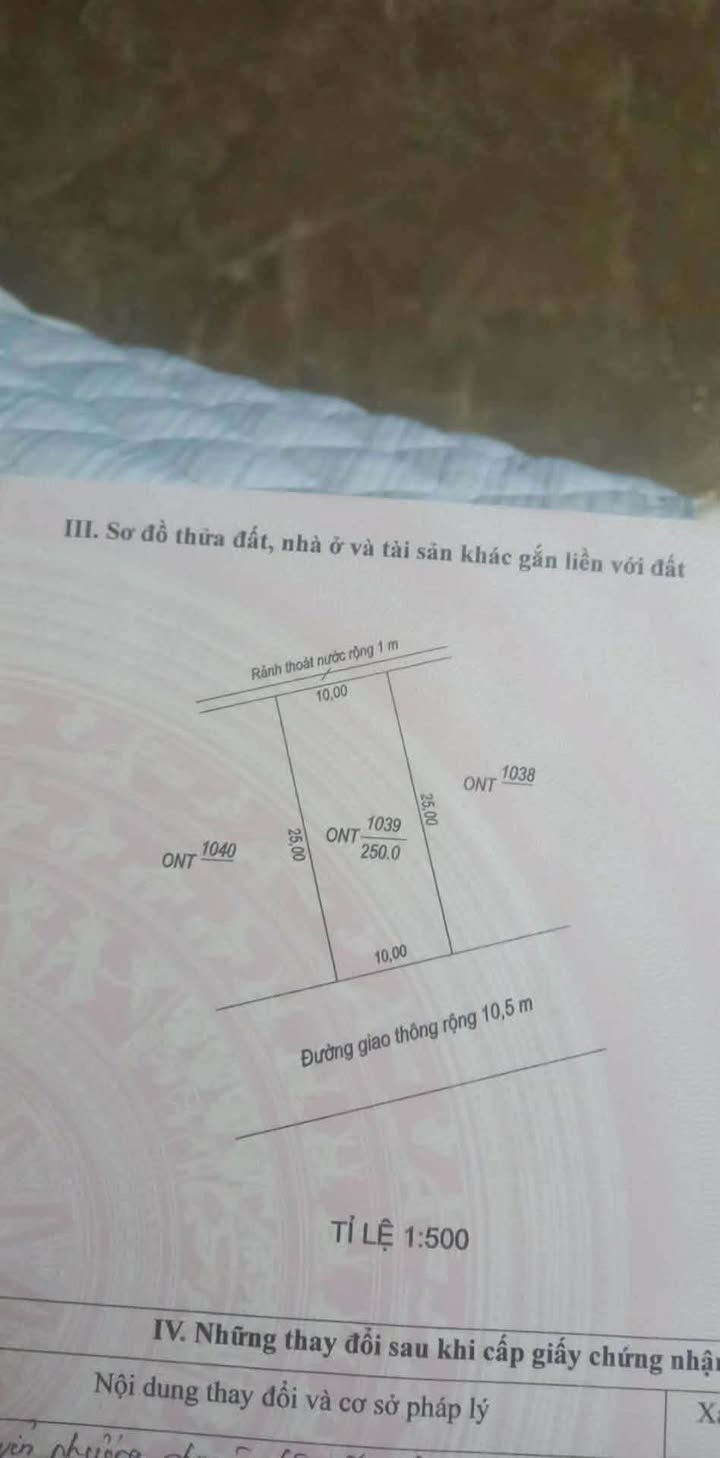 Đất Biển Động Cát 250m² giá 1.5 tỷ - Vị trí đắc địa cạnh biển!